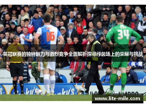 英冠联赛的独特魅力与激烈竞争全面解析探寻绿茵场上的荣耀与挑战
