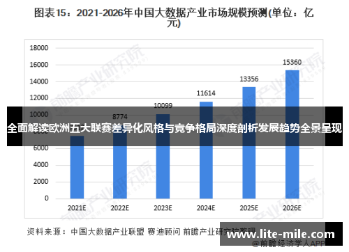 全面解读欧洲五大联赛差异化风格与竞争格局深度剖析发展趋势全景呈现 全面解读欧洲五大联赛差异化风格与竞争格局深度剖析发展趋势全景呈现