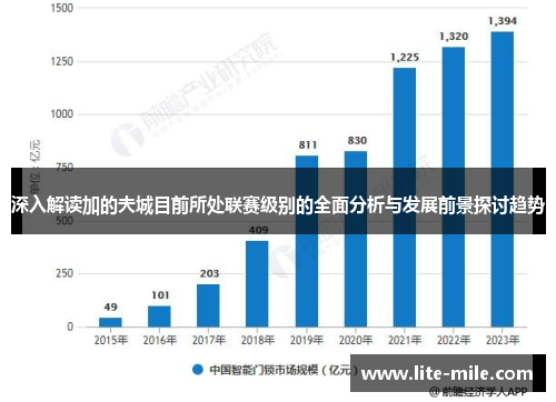 深入解读加的夫城目前所处联赛级别的全面分析与发展前景探讨趋势 深入解读加的夫城目前所处联赛级别的全面分析与发展前景探讨趋势