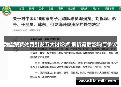 魏震禁赛处罚引发五大讨论点 解析背后影响与争议