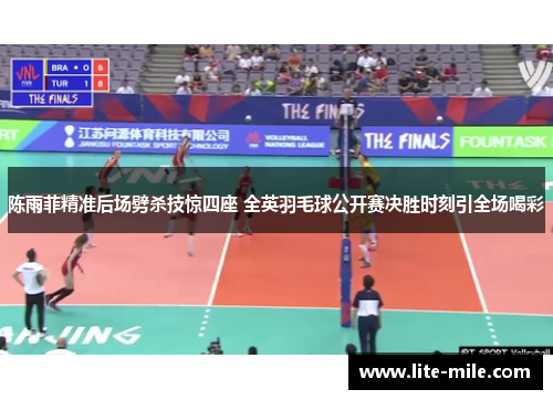 陈雨菲精准后场劈杀技惊四座 全英羽毛球公开赛决胜时刻引全场喝彩 陈雨菲精准后场劈杀技惊四座 全英羽毛球公开赛决胜时刻引全场喝彩